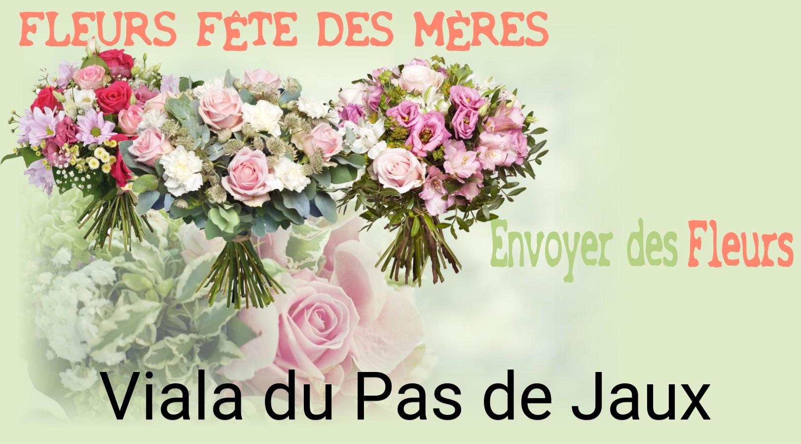 Bouquet de Fête des Mères livré à Viala-du-Pas-de-Jaux